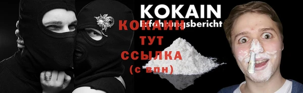 твердый Абаза
