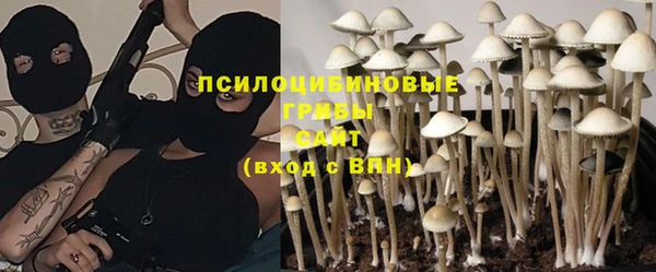 тгк Алзамай